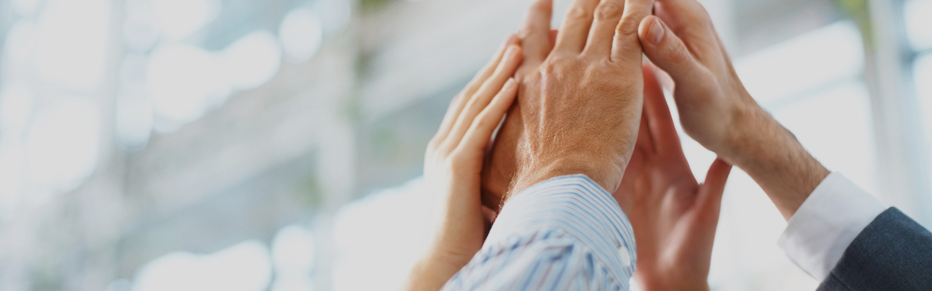 菠菜担保网通力-联系菠菜担保网