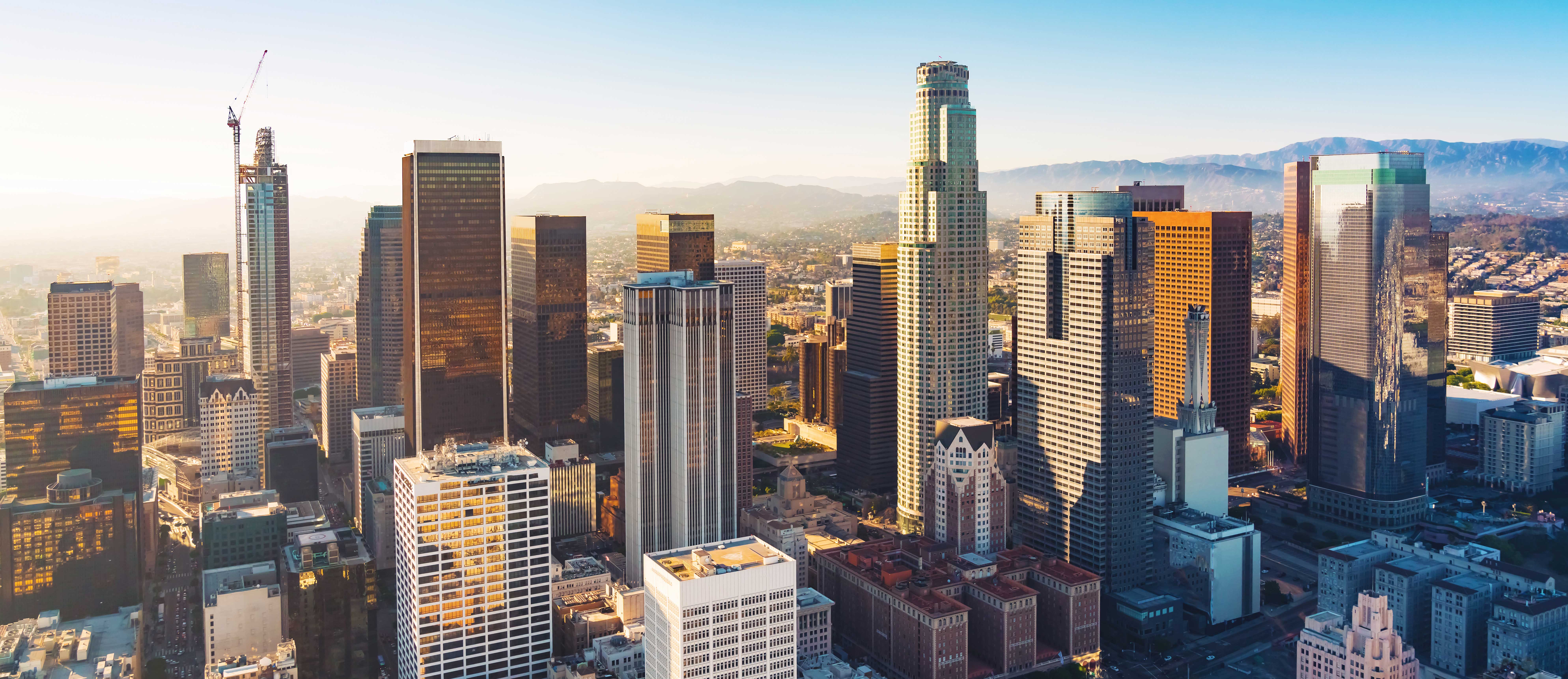 菠菜担保网通力-产品中心