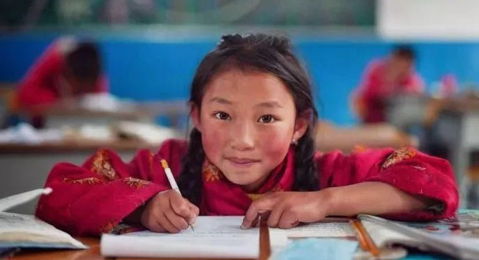 菠菜担保网通力-社会责任