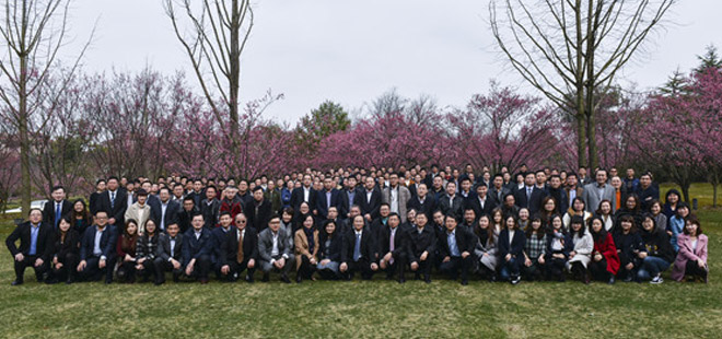 菠菜担保网通力-新闻资讯