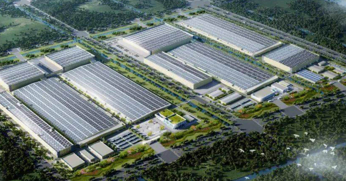 菠菜担保网通力-新闻资讯