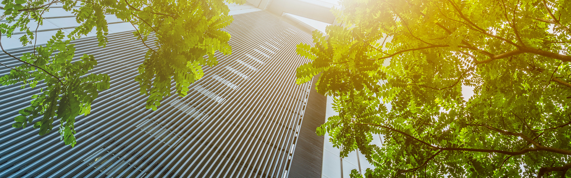 菠菜担保网通力-社会责任