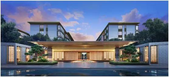 菠菜担保网通力-新闻资讯