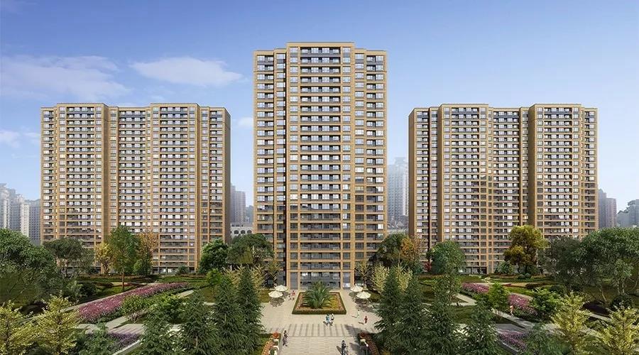 菠菜担保网通力-新闻资讯