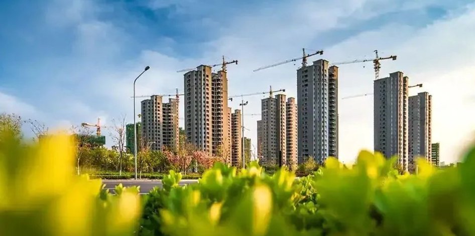 菠菜担保网通力-新闻资讯