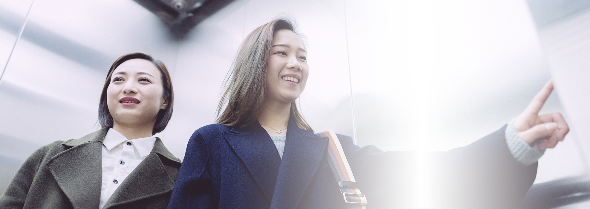 菠菜担保网通力-清静